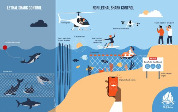 Shark Mitigation Technologies Infographic