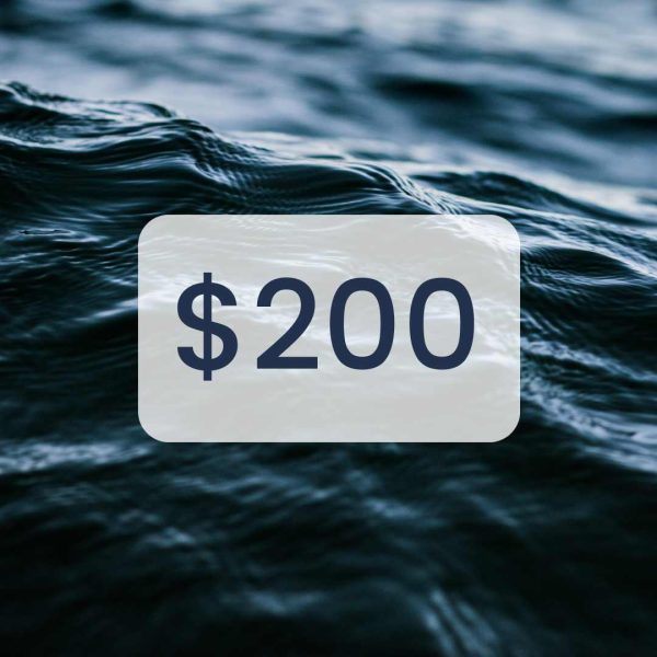 The number $200 appears on the background of a deep blue ocean wave