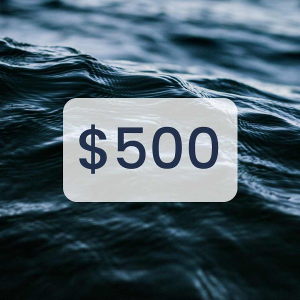 The number $500 appears on the background of a deep blue ocean wave