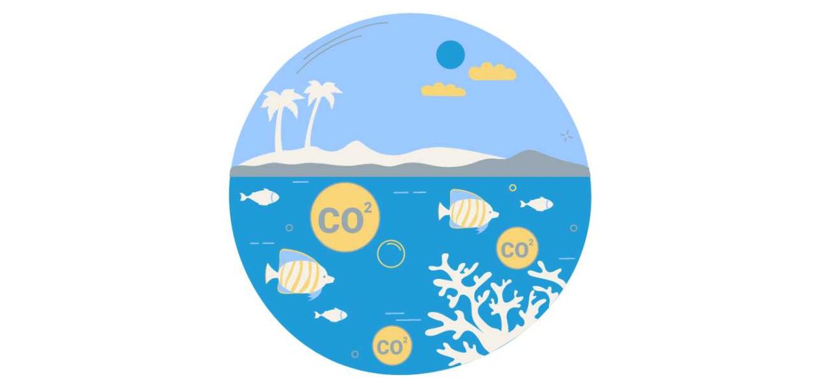 Illustration showing the impact of carbon dioxide (CO2) on ocean life. The image features a circular view of an underwater scene with fish swimming around CO2 bubbles, a coral reef, and a beach with palm trees in the background. The scene highlights the issue of ocean acidification caused by increased CO2 levels, which affects marine ecosystems and coral health.