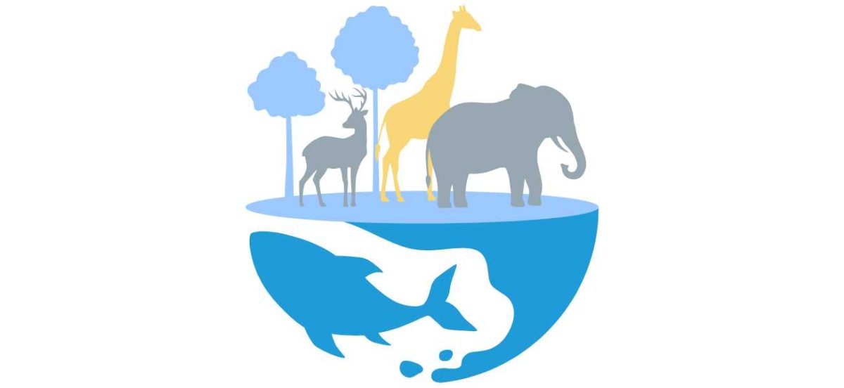 Illustration depicting the interdependence of terrestrial and marine ecosystems. The upper half of the image shows land animals, including a giraffe, elephant, and deer, standing among trees. The lower half of the image represents the ocean, featuring silhouettes of a whale, indicating the connection between land and marine life and the importance of protecting both ecosystems.