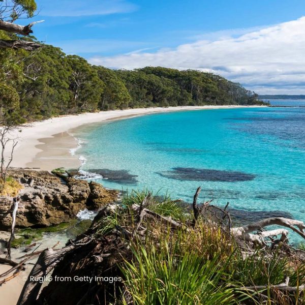 Semi circle cove with turquoise water. Trees line the edge of the bay