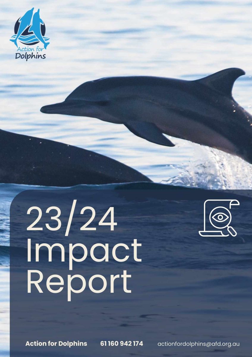 Front cover of Action for Dolphins 23/24 annual report