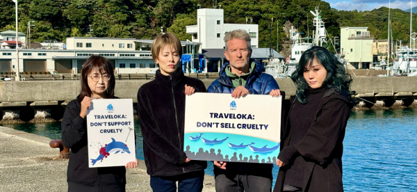 Four people stand a boat pier holding signs calling out Traveloka for having ties to the Taiji hunts