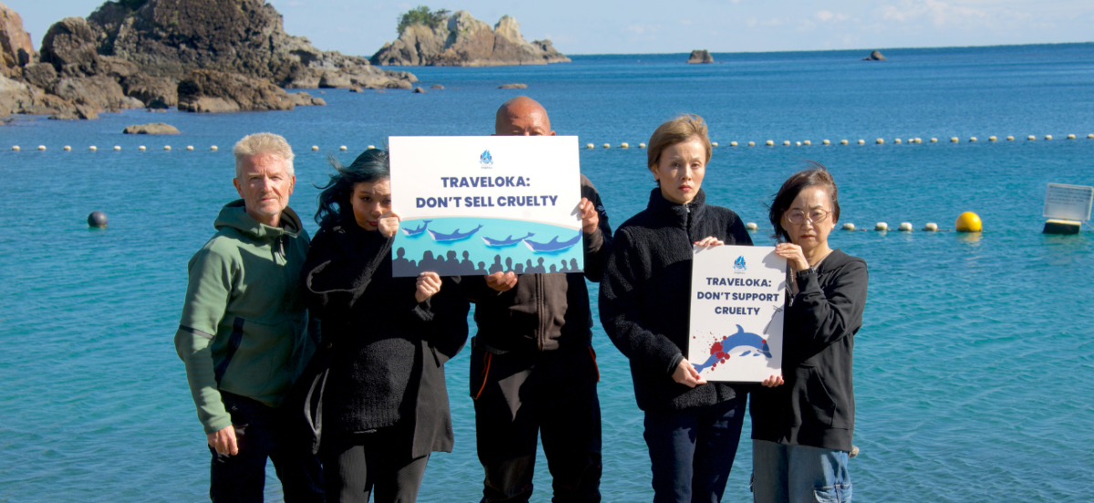 We call out Traveloka at the Taiji cove